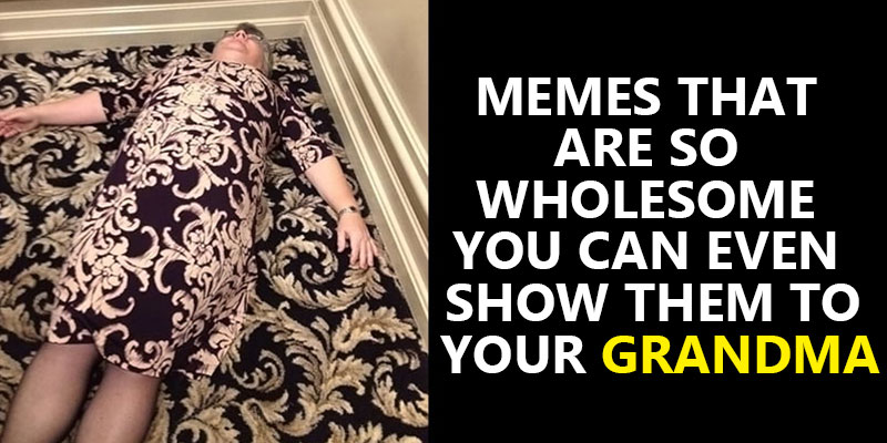 MEMES that are so wholesome you can even show them to your grandma
