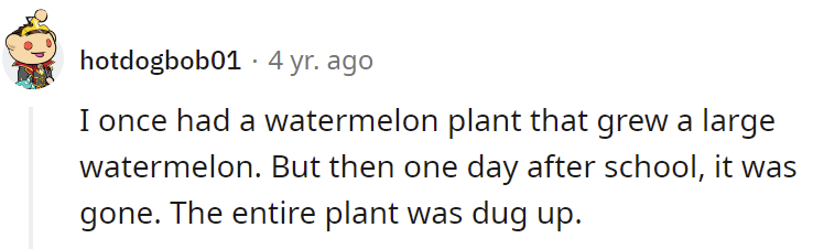watermelon-thief
